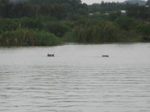 10441394_10152229525516958_3175555374596542998_n